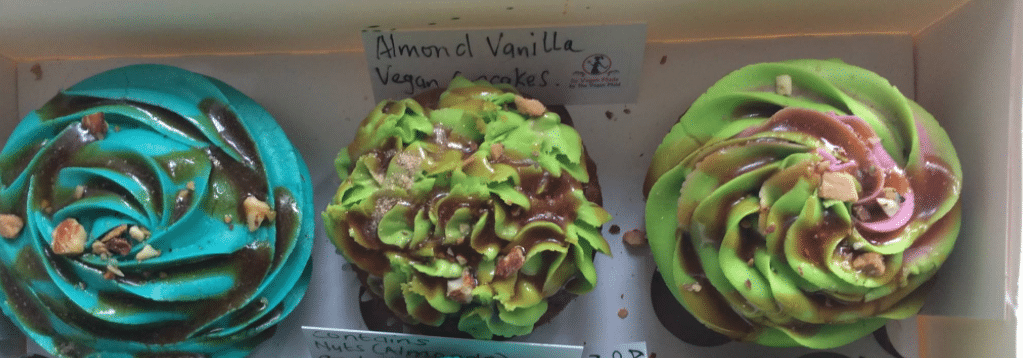 Photos from It's Vegan Made's Facebook page of brightly coloured blue and green-frosted cupcakes in a box