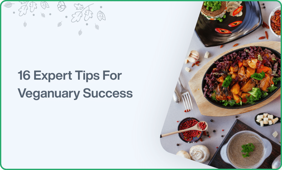 Expert Tips For Veganuary Success