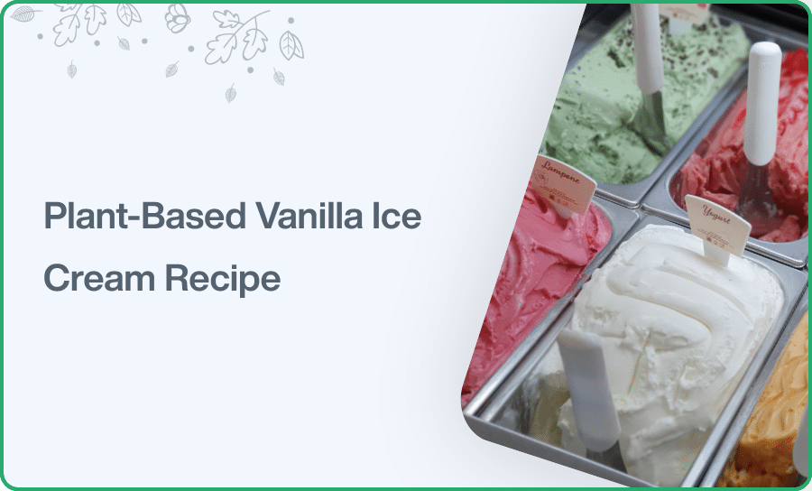 Plant Based Vanilla Ice Cream Recipe