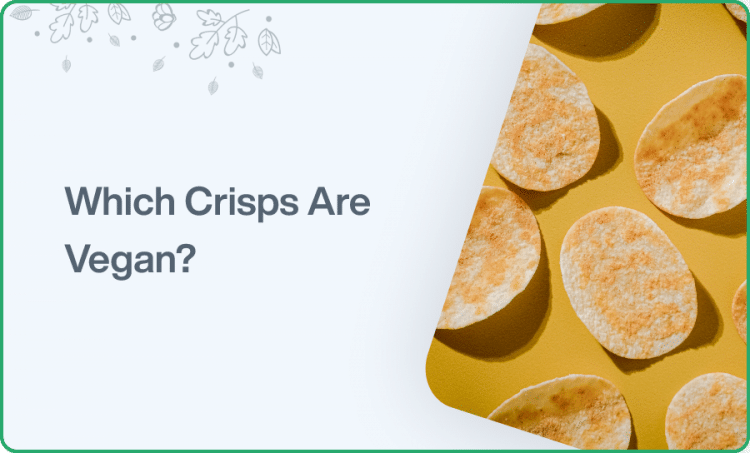 Vegan Crisps – Best 5 Vegan Crisps That You Can Eat