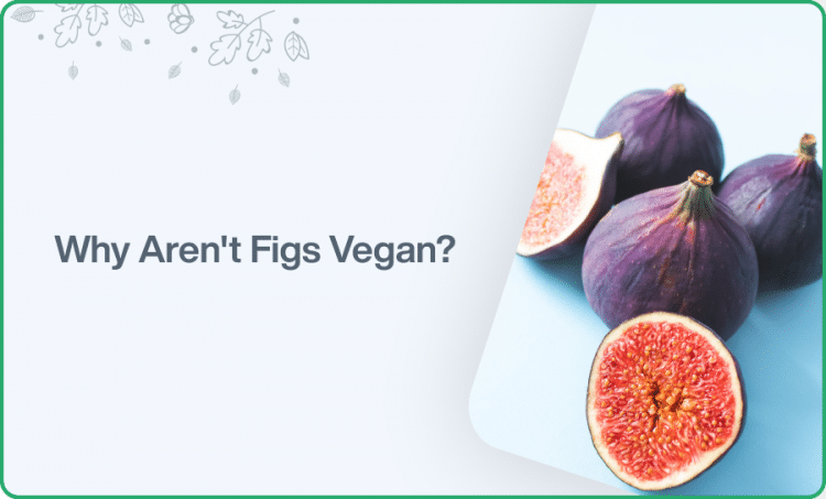 Why Aren’t Figs Vegan?