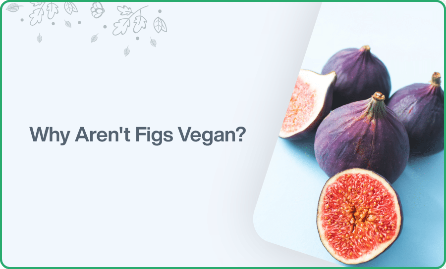 Why Arent Figs Vegan