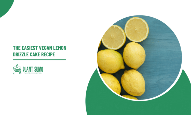The Easiest Vegan Lemon Drizzle Cake Recipe