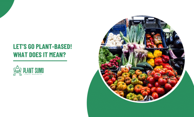 Let’s Go Plant-Based! What does it mean?