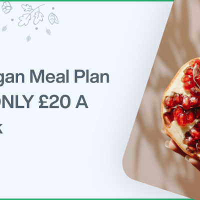 A Vegan Meal Plan For ONLY 20 A Week