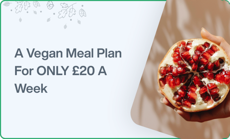 A Vegan Meal Plan For ONLY £20 A Week
