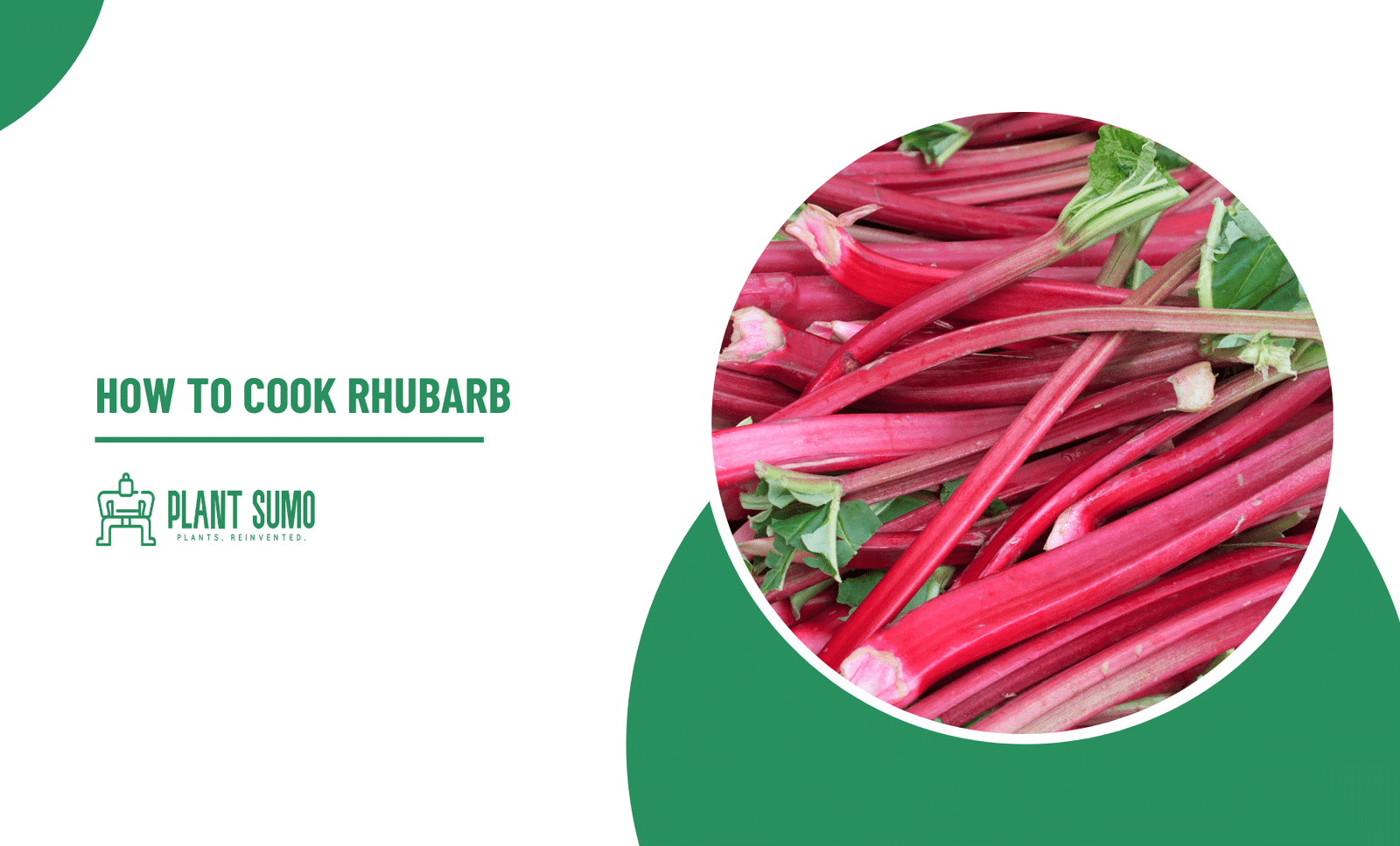 How to Cook Rhubarb? Ingredients Of Rhubarb Delicious Stalks