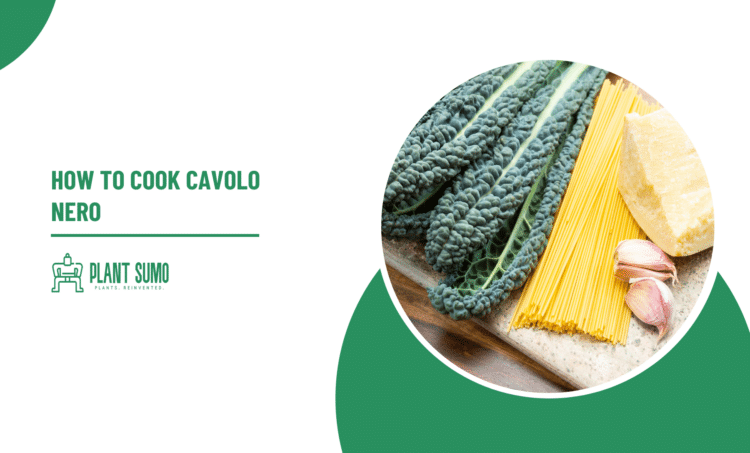 How To Cook Cavolo Nero