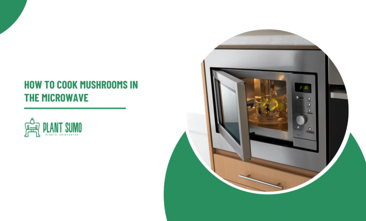 How to Cook Mushrooms in the Microwave