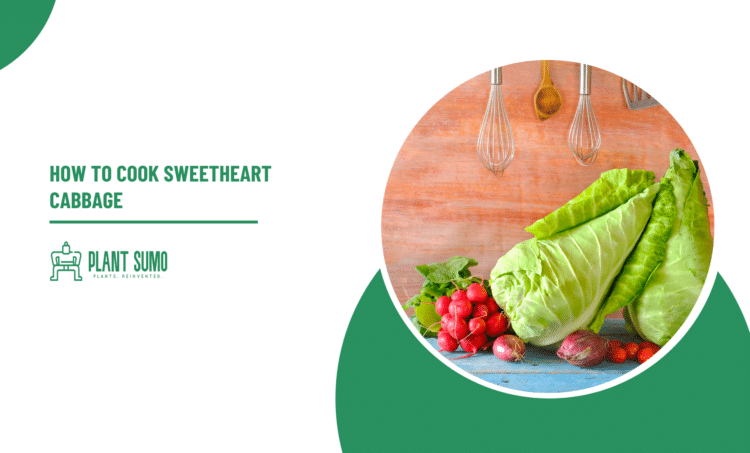 How to Cook Sweetheart Cabbage