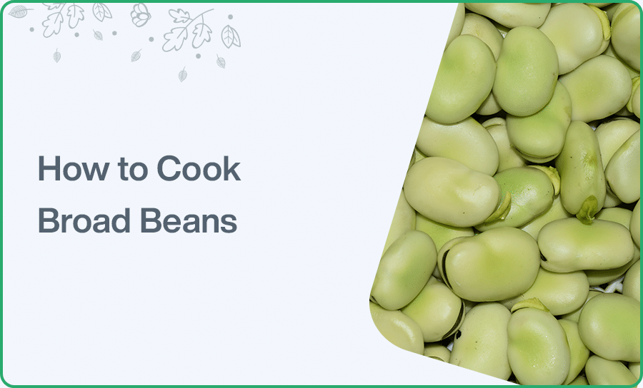 How to Cook Broad Beans How Long Does It Take To Boil