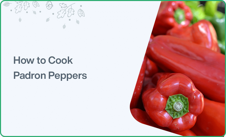 How to Cook Padron Peppers