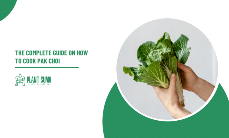 The Complete Guide on How to Cook Pak Choi
