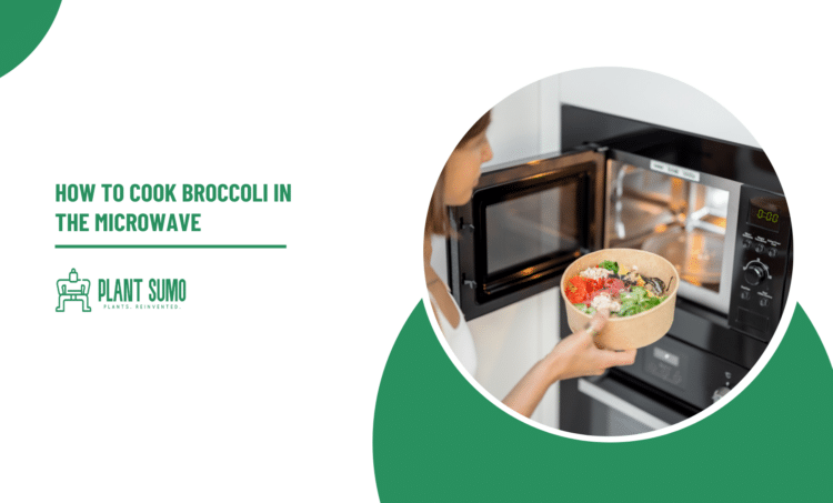 How To Cook Broccoli in the Microwave
