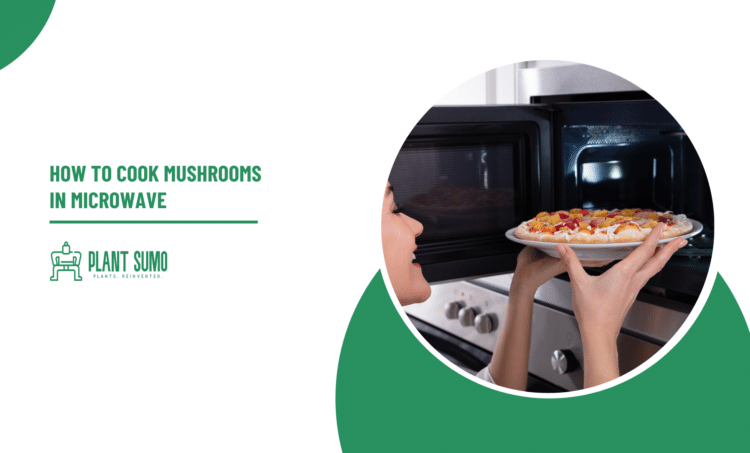 How to Cook Mushrooms in Microwave