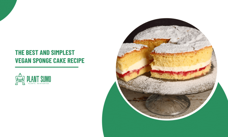 The Best and Simplest Vegan Sponge Cake Recipe