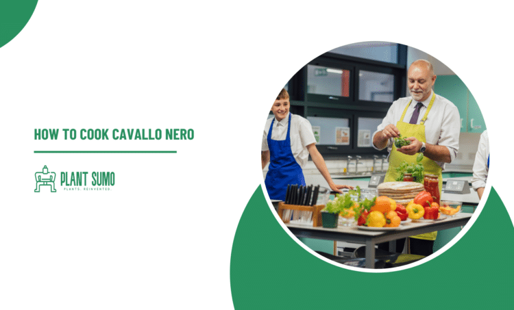 How To Cook Cavallo Nero