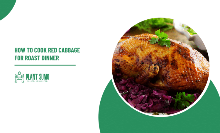 How to Cook Red Cabbage for Roast Dinner