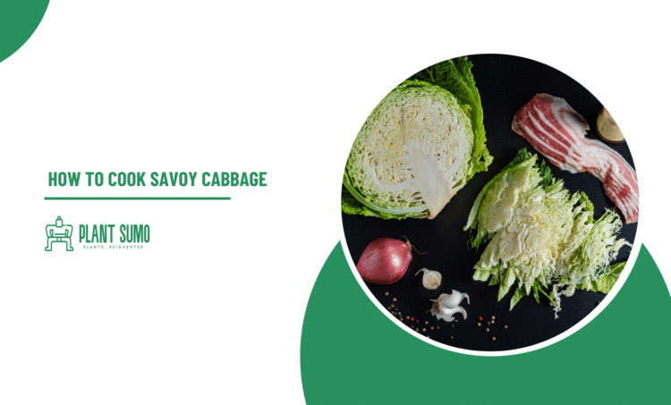 How to cook savoy cabbage