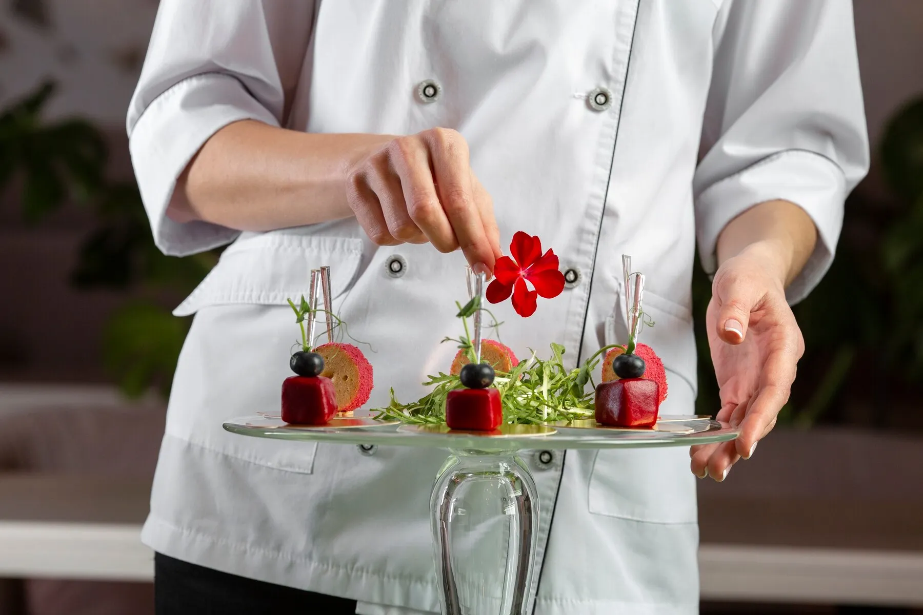 Vegan Catering Services in Dublin, Ireland